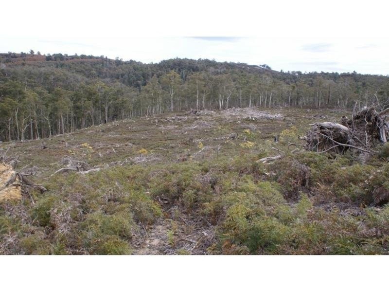 Lot 1 . Pelham Road, Elderslie TAS 7030