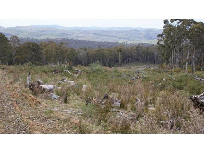 Lot 1 . Pelham Road, Elderslie TAS 7030