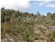 Lot 2 Strickland Rd, Strickland TAS 7140
