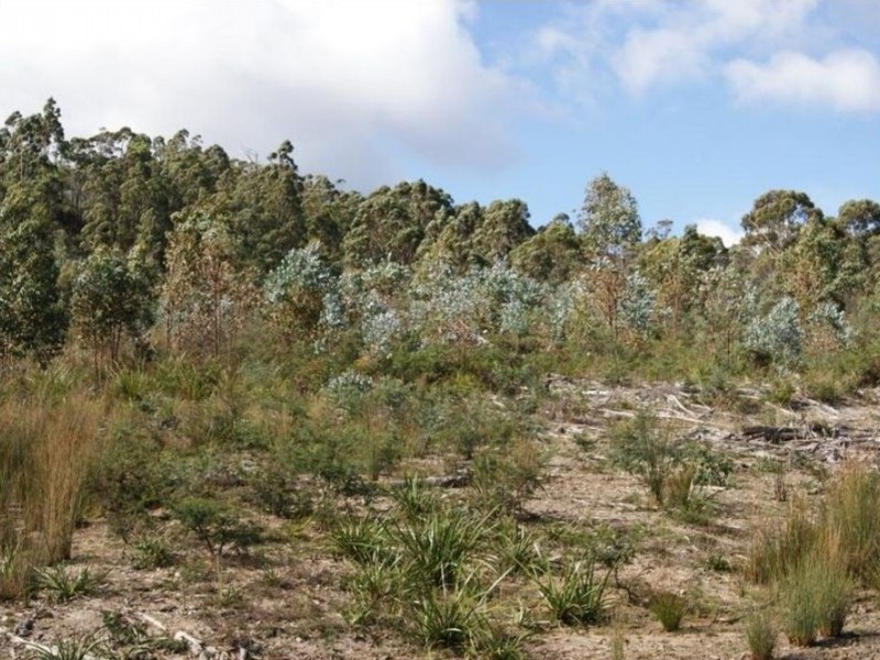 Lot 2 Strickland Rd, Strickland TAS 7140