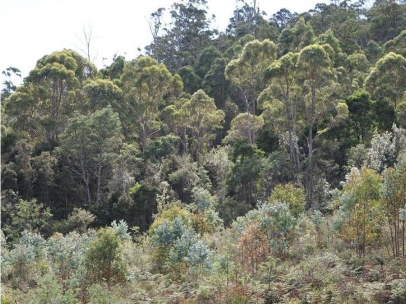 Lot 2 Strickland Rd, Strickland TAS 7140