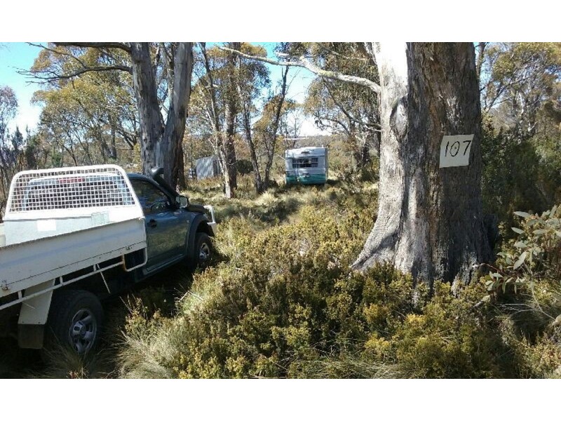 82 Jones Road, Miena TAS 7030