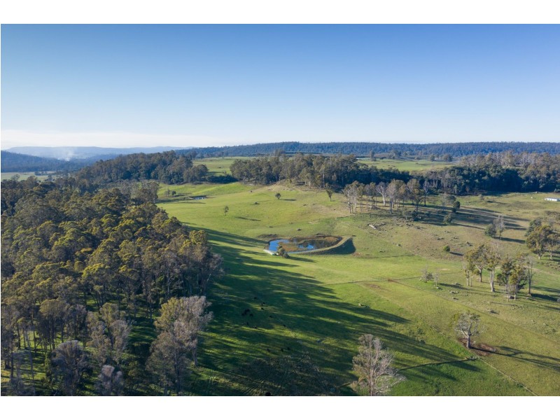 829  Montana Rd, Montana TAS 7304