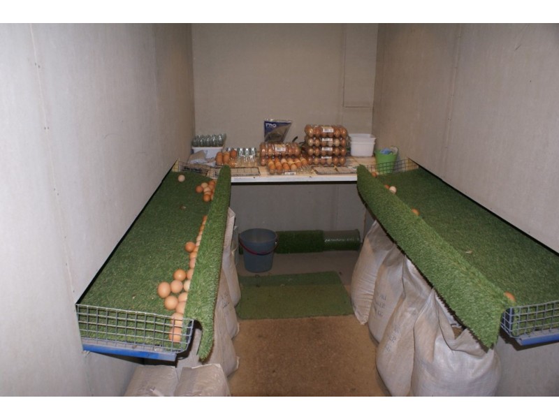 829  Montana Rd, Montana TAS 7304