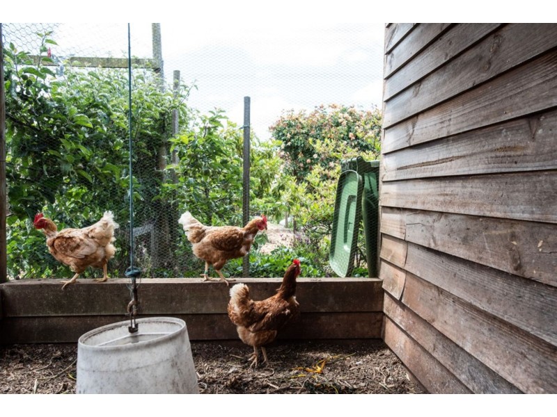 8 Berne Court, Grindelwald TAS 7277