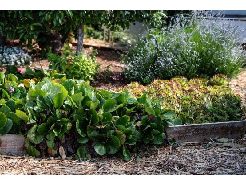 8 Berne Court, Grindelwald TAS 7277