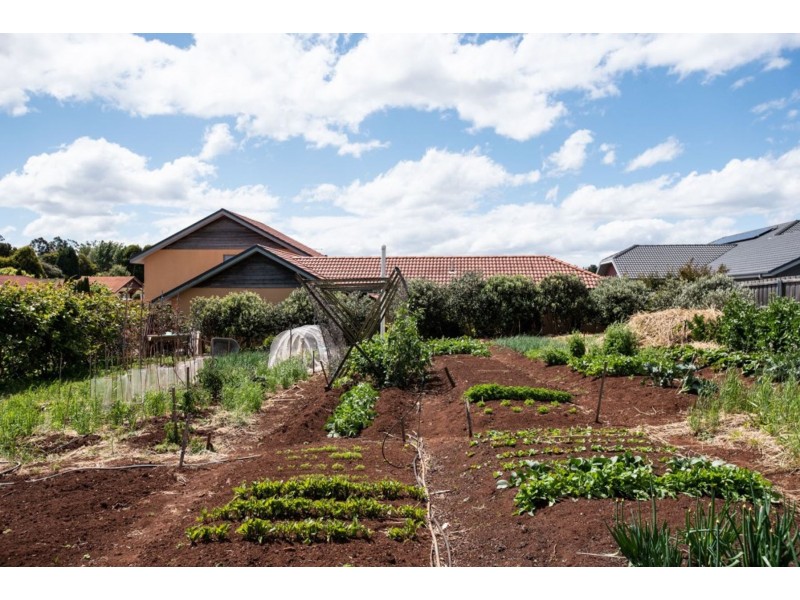 8 Berne Court, Grindelwald TAS 7277