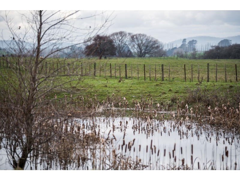 470 Black Lane, Hagley TAS 7292