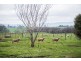 470 Black Lane, Hagley TAS 7292
