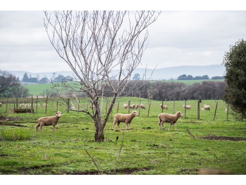 470 Black Lane, Hagley TAS 7292