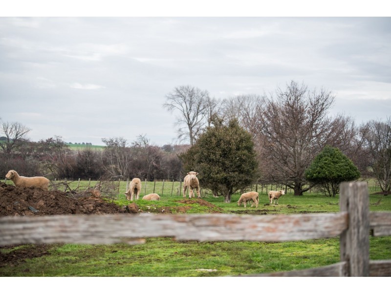 470 Black Lane, Hagley TAS 7292