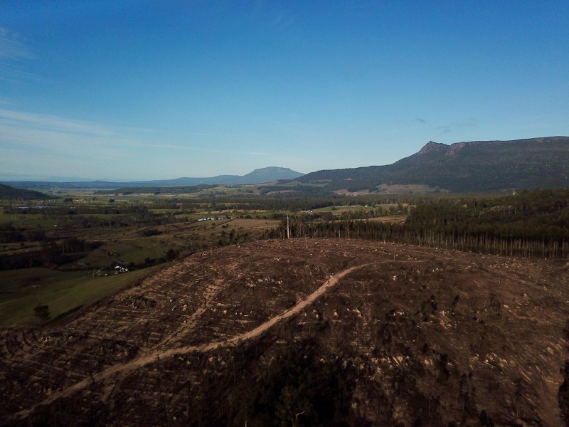 Lot 1 Crowdens Rd, Western Creek TAS 7304