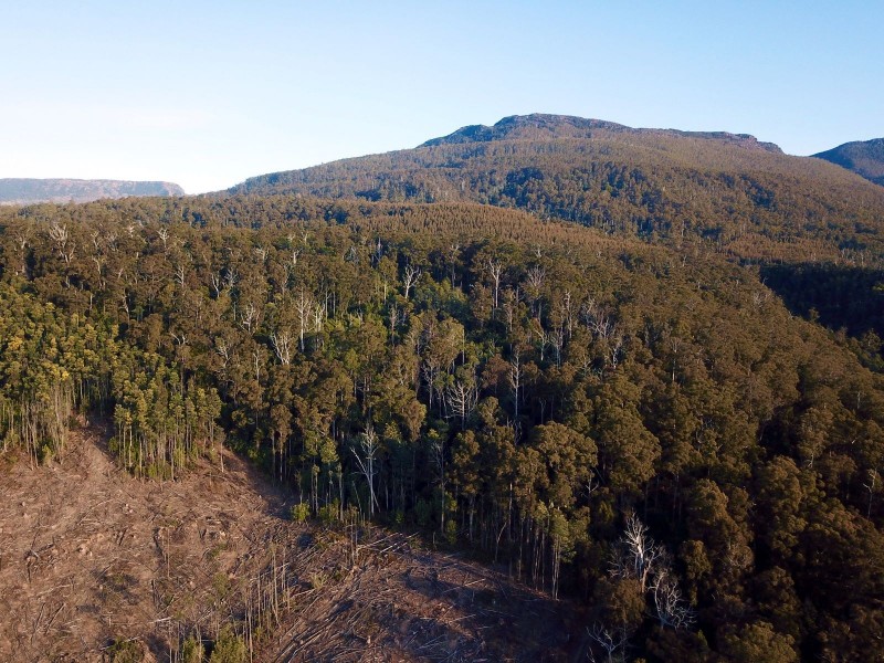 Lot 1 Crowdens Rd, Western Creek TAS 7304