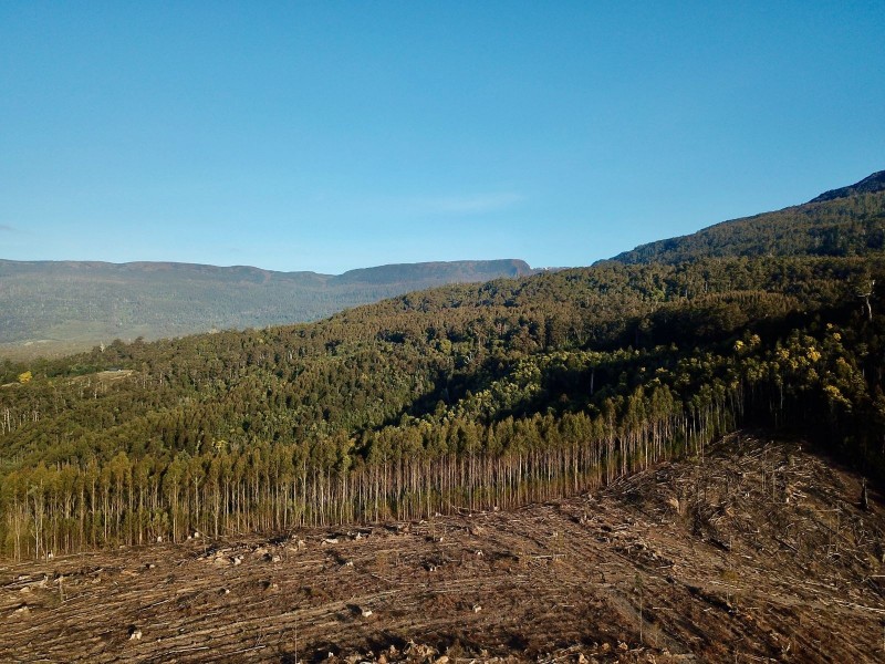 Lot 1 Crowdens Rd, Western Creek TAS 7304