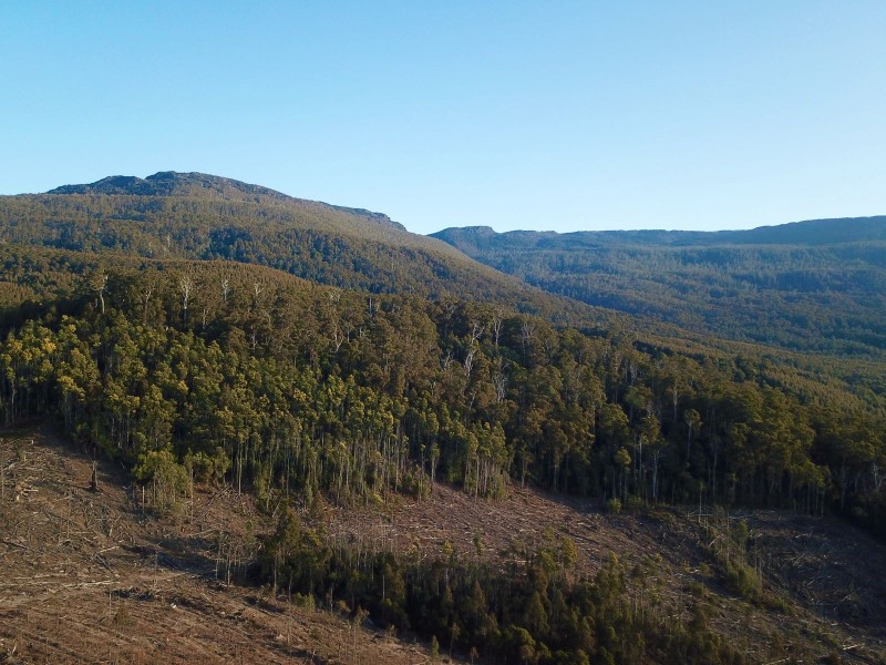 Lot 1 Crowdens Rd, Western Creek TAS 7304
