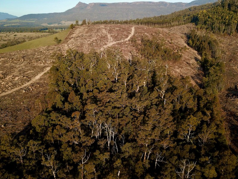 Lot 1 Crowdens Rd, Western Creek TAS 7304