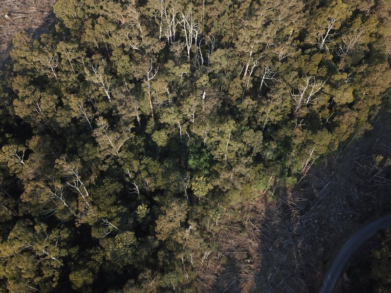 Lot 1 Crowdens Rd, Western Creek TAS 7304