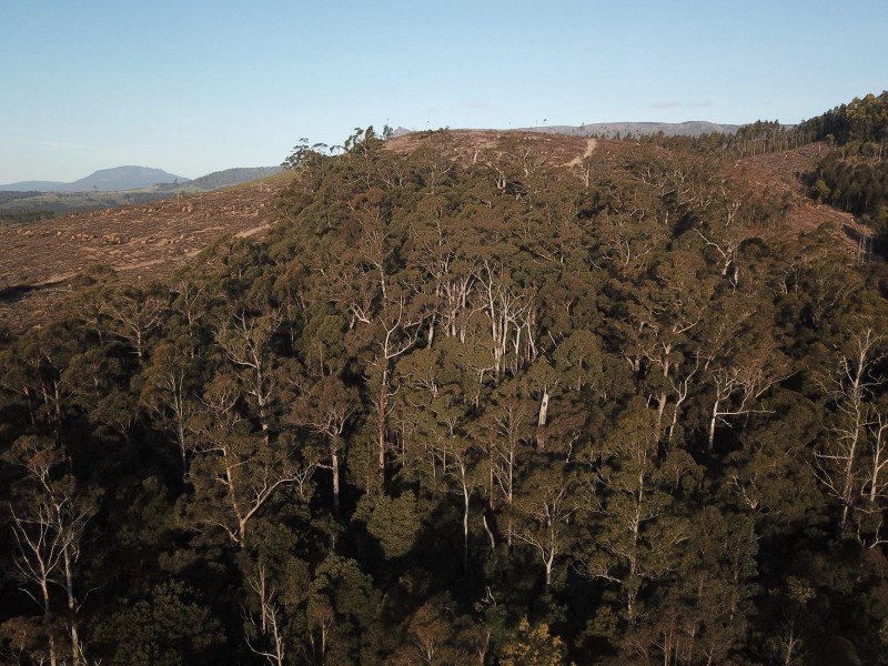 Lot 1 Crowdens Rd, Western Creek TAS 7304