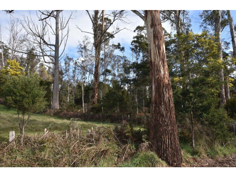 Lot 1. Quamby Brook Rd, Quamby Brook TAS 7304