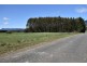 Lot 1 Scotts Road, Mole Creek TAS 7304