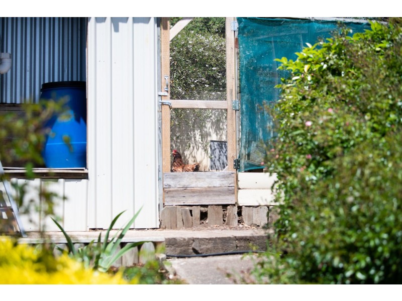 67  Bridgenorth Rd, Legana TAS 7277