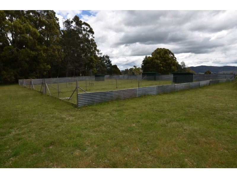125 Wadleys Rd, Reedy Marsh TAS 7304
