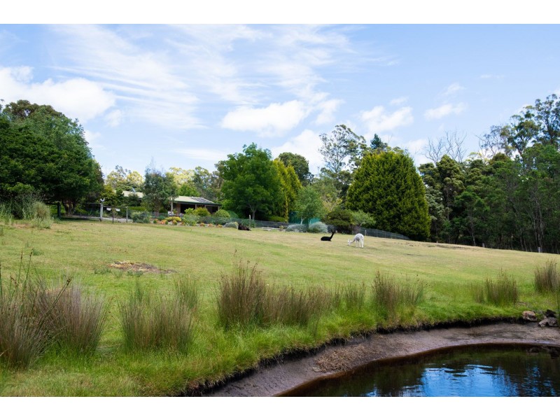 168 Main Road, Exeter TAS 7275