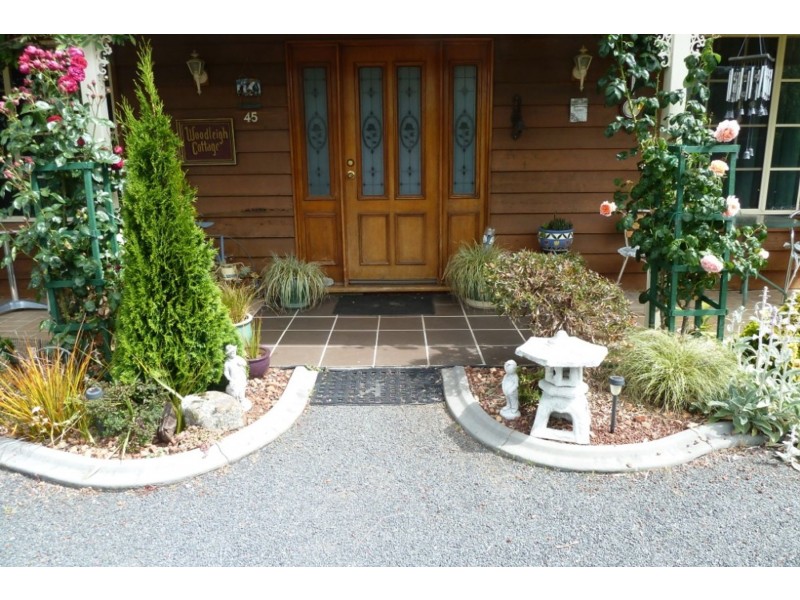 45 Grigg St, Deloraine TAS 7304