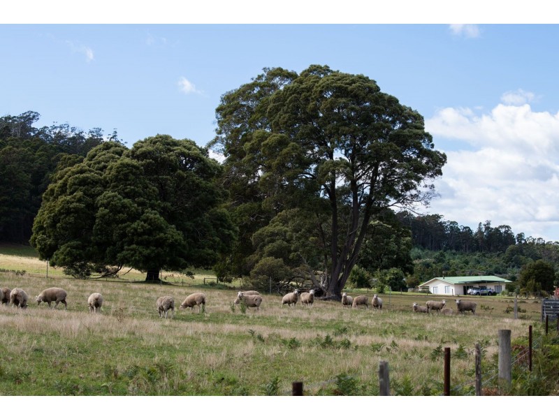 14506 Highland Lakes Road, Deloraine TAS 7304