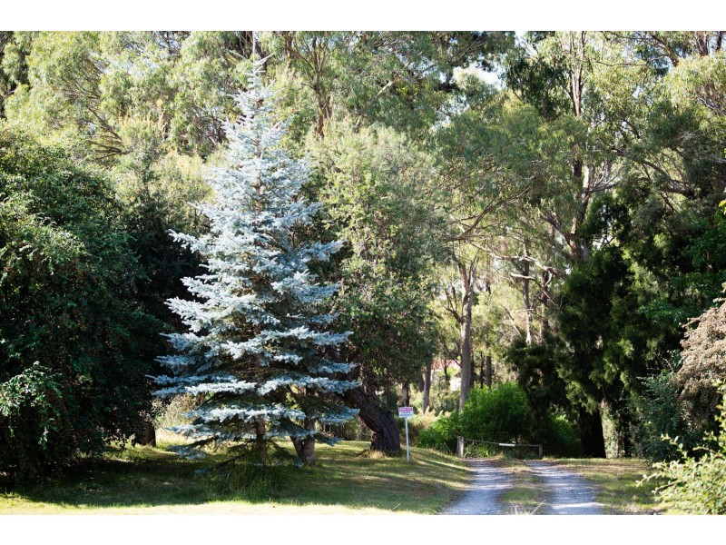 392 Gravelly Beach Road, Gravelly Beach TAS 7276