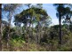 392 Gravelly Beach Road, Gravelly Beach TAS 7276