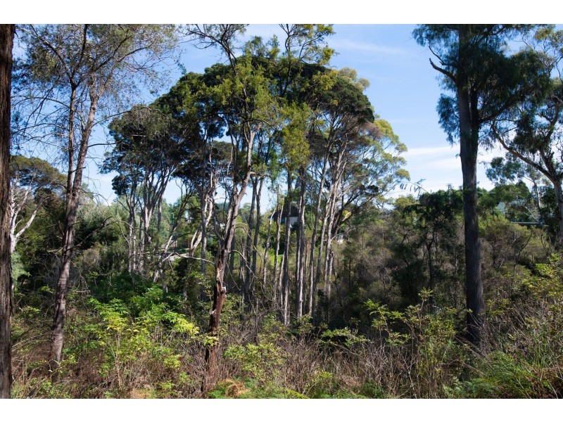 392 Gravelly Beach Road, Gravelly Beach TAS 7276