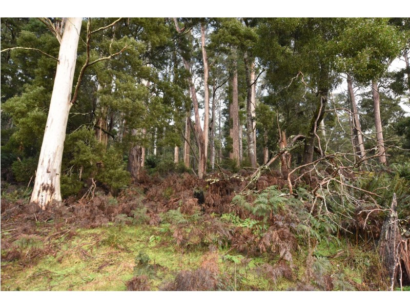 Lot 5 Liena Rd, Liena TAS 7304