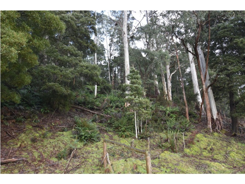 Lot 5 Liena Rd, Liena TAS 7304