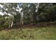 Lot 5 Liena Rd, Liena TAS 7304