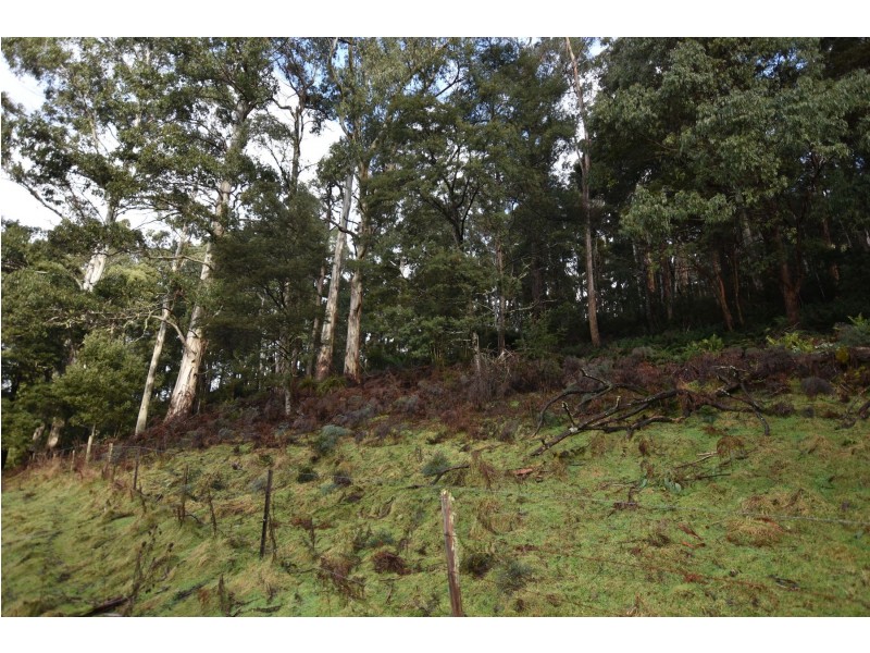 Lot 5 Liena Rd, Liena TAS 7304