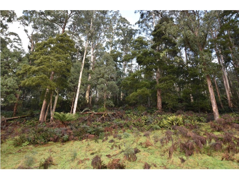 Lot 5 Liena Rd, Liena TAS 7304