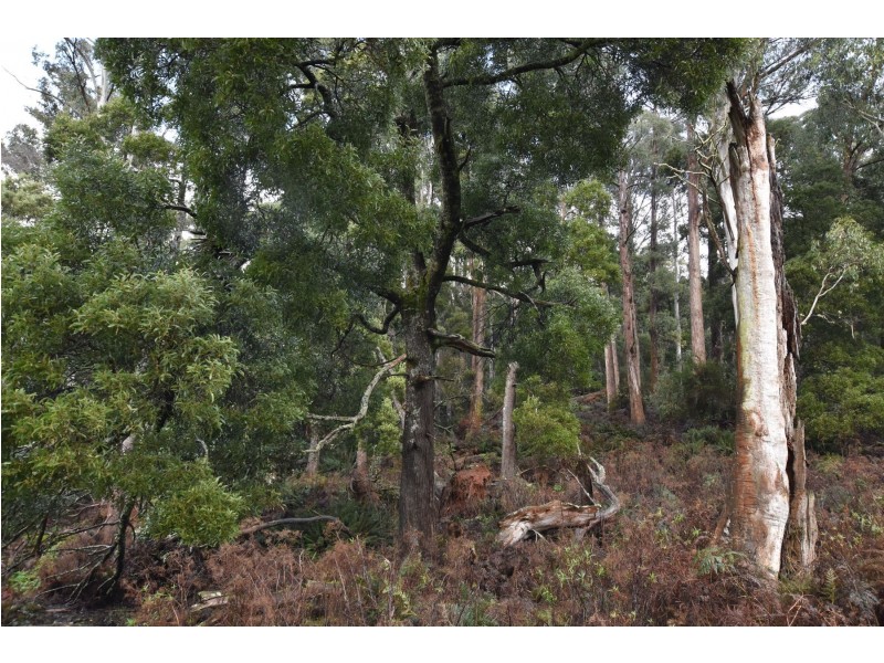 Lot 5 Liena Rd, Liena TAS 7304