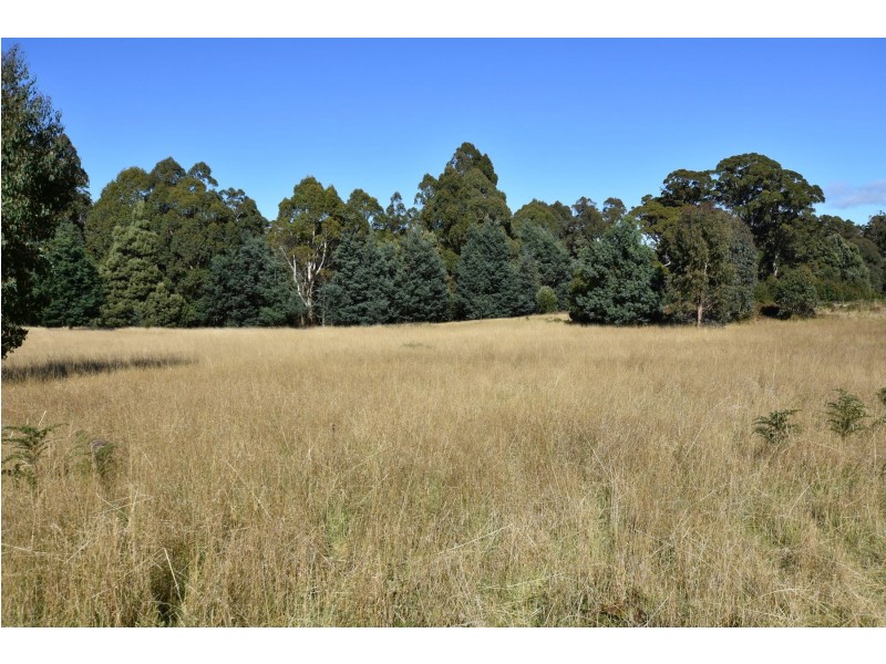 54 Bonney Street, Elizabeth Town TAS 7304