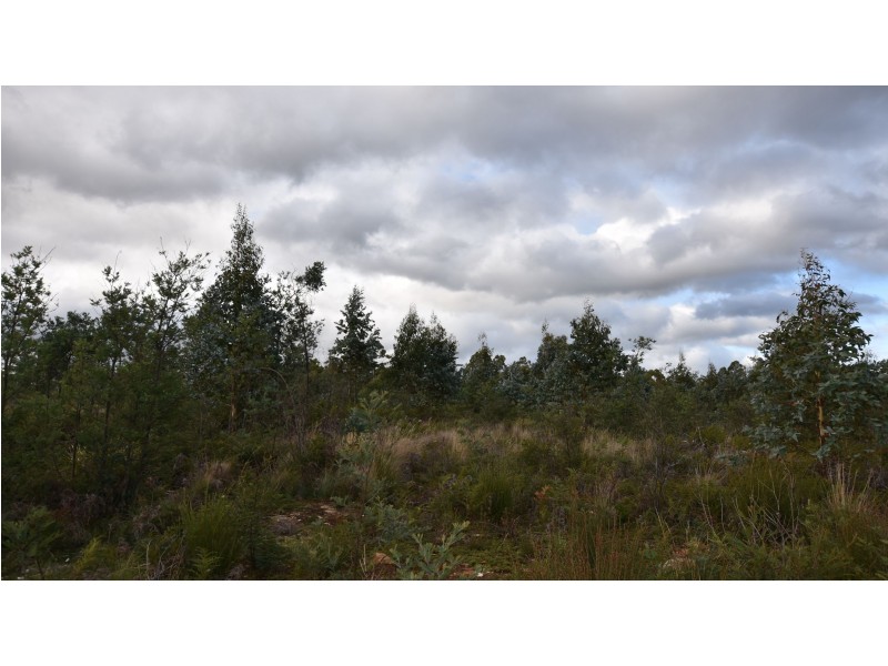 Lot 2 Wadleys Rd, Reedy Marsh TAS 7304