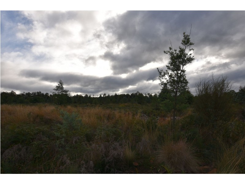 Lot 2 Wadleys Rd, Reedy Marsh TAS 7304