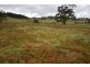 81 Burns Rd, Caveside TAS 7304