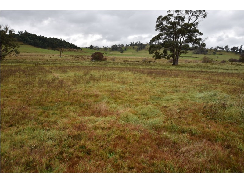 81 Burns Rd, Caveside TAS 7304