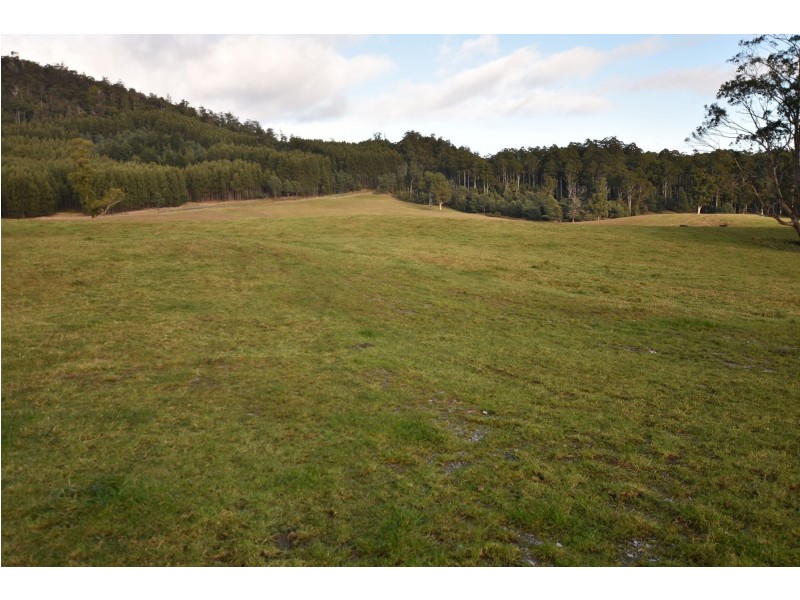 64 Mersey Forest Road, Liena TAS 7304