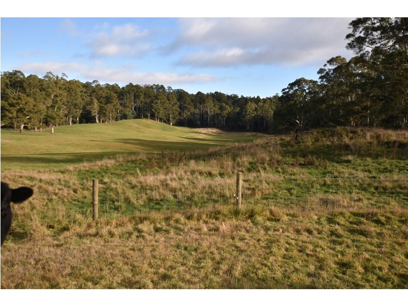 64 Mersey Forest Road, Liena TAS 7304