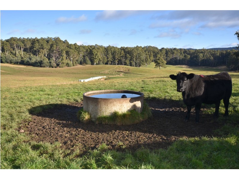 64 Mersey Forest Road, Liena TAS 7304