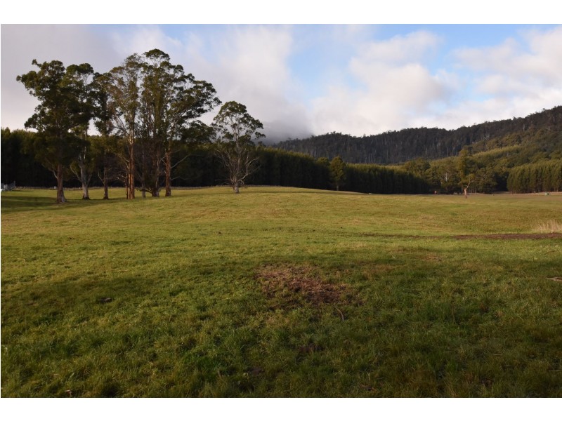 64 Mersey Forest Road, Liena TAS 7304