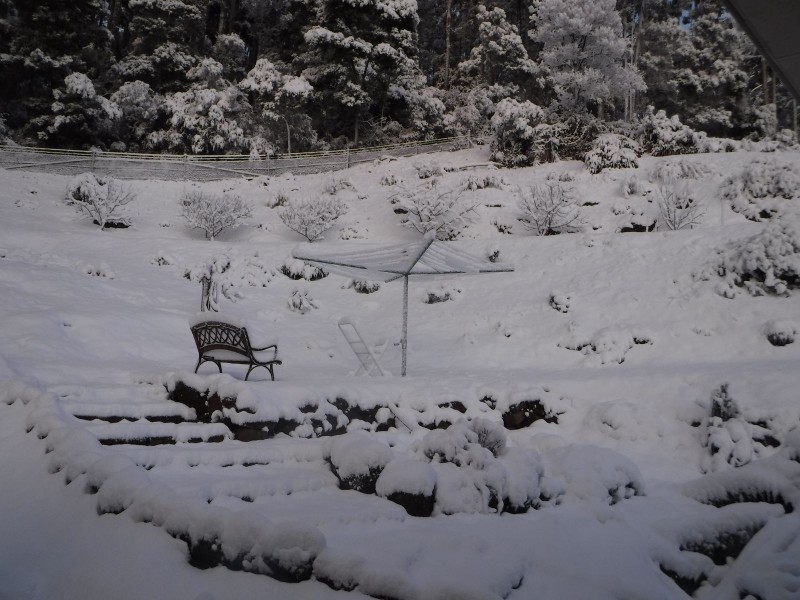 455 Olivers Road, Liena TAS 7304