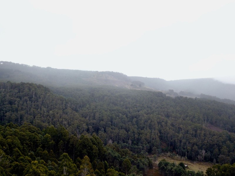 455 Olivers Road, Liena TAS 7304