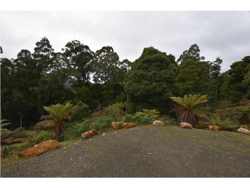 455 Olivers Road, Liena TAS 7304